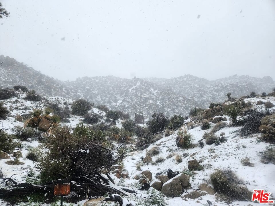 MLS #23291589 image #8