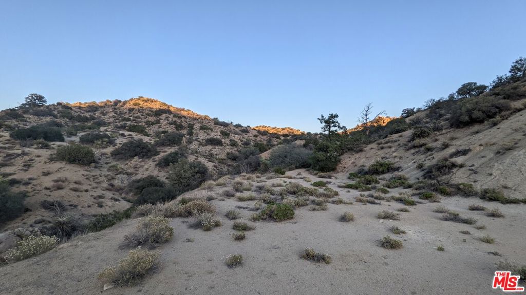 MLS #23305221 image #10