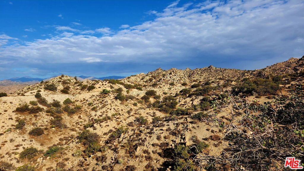 MLS #23305221 image #2