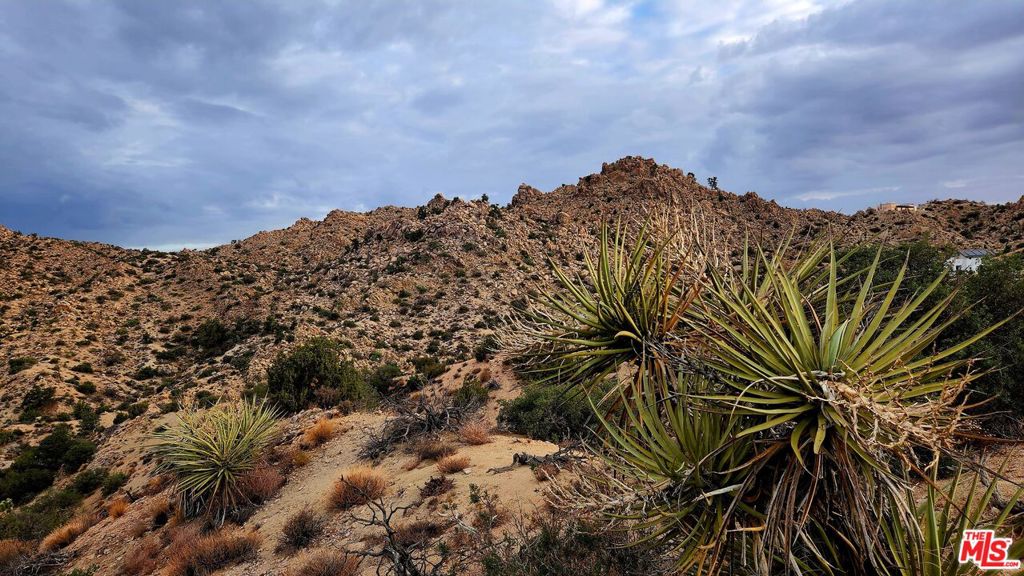 MLS #23305221 image #21