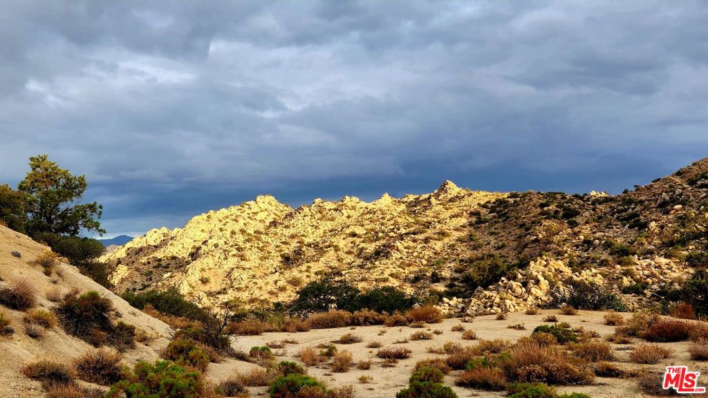 MLS #23305221 image #22