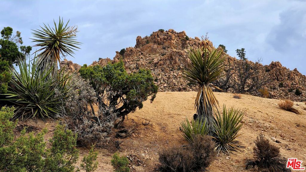 MLS #23305221 image #23