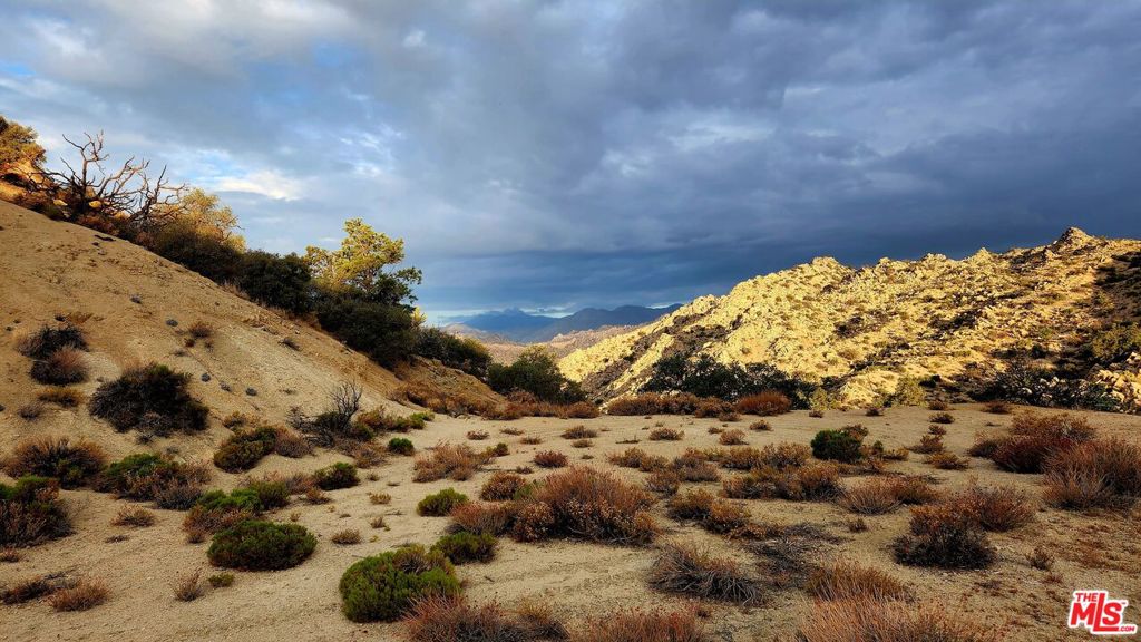 MLS #23305221 image #24