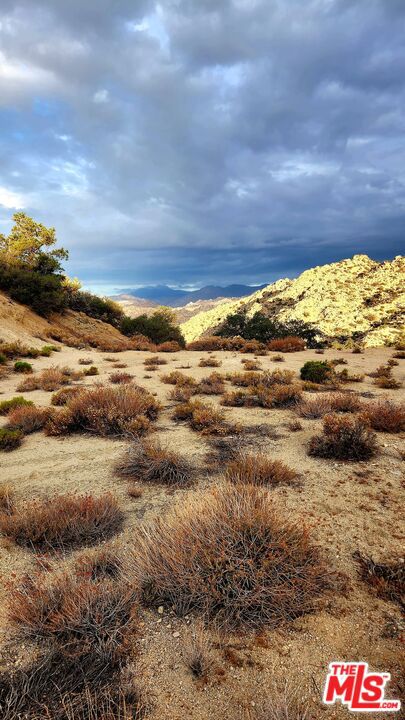 MLS #23305221 image #25