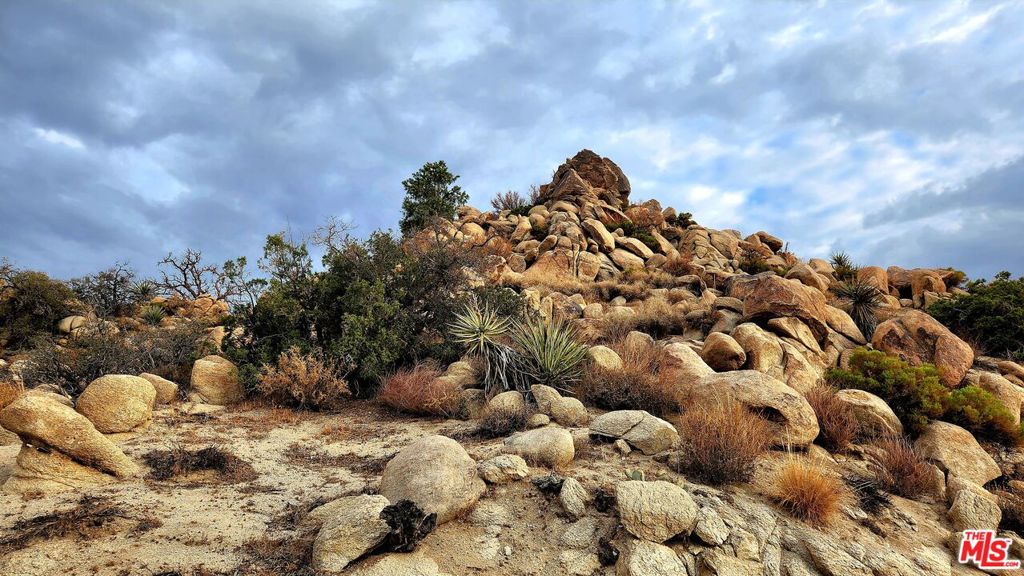 MLS #23305221 image #29