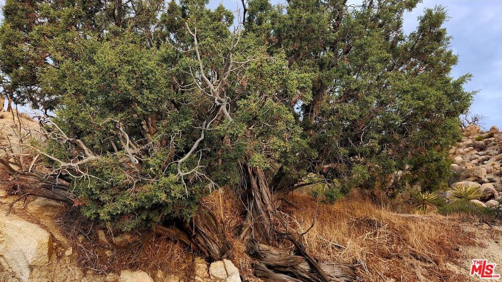 MLS #23305221 image #30