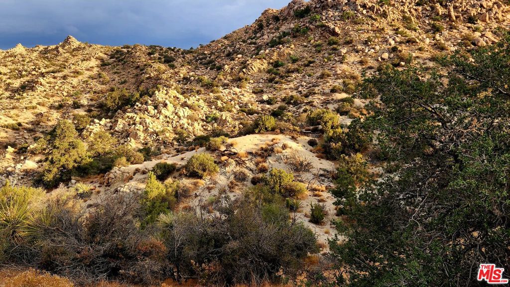 MLS #23305221 image #31