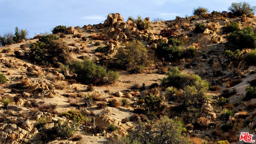 MLS #23305221 image #32