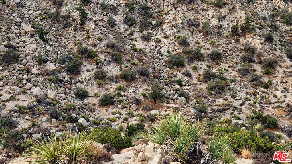 MLS #23305221 image #33