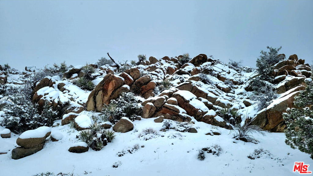 MLS #23305221 image #35