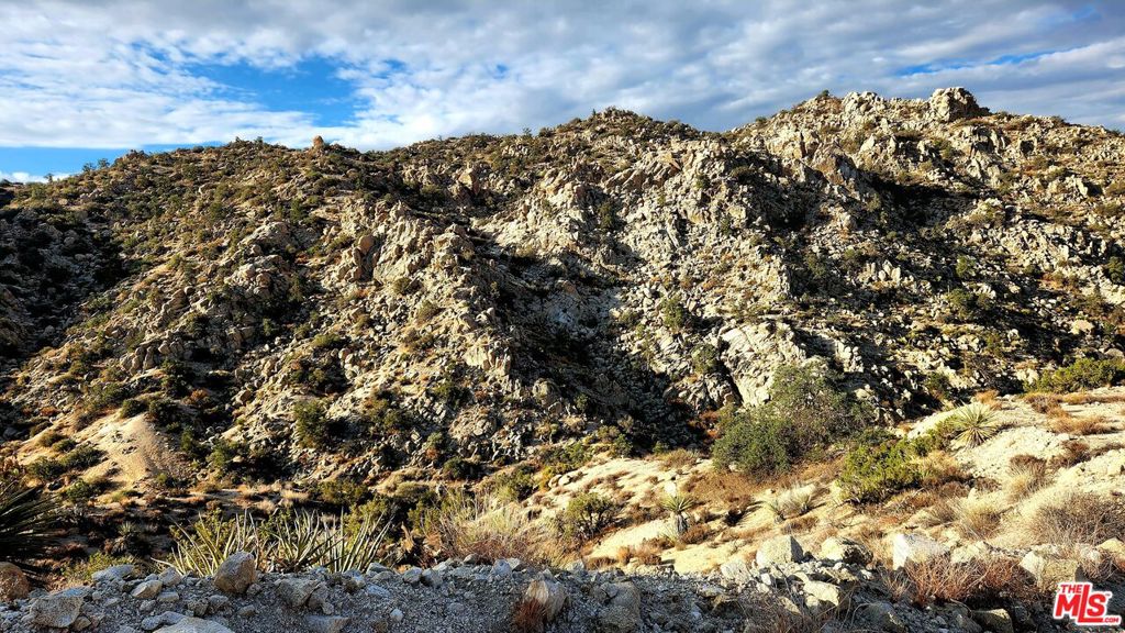 MLS #23305221 image #4