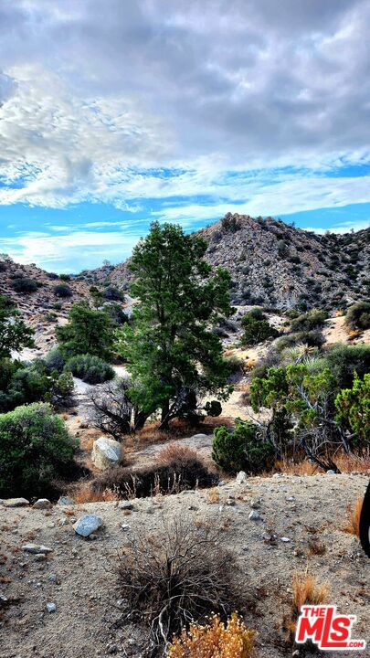 MLS #23305221 image #5