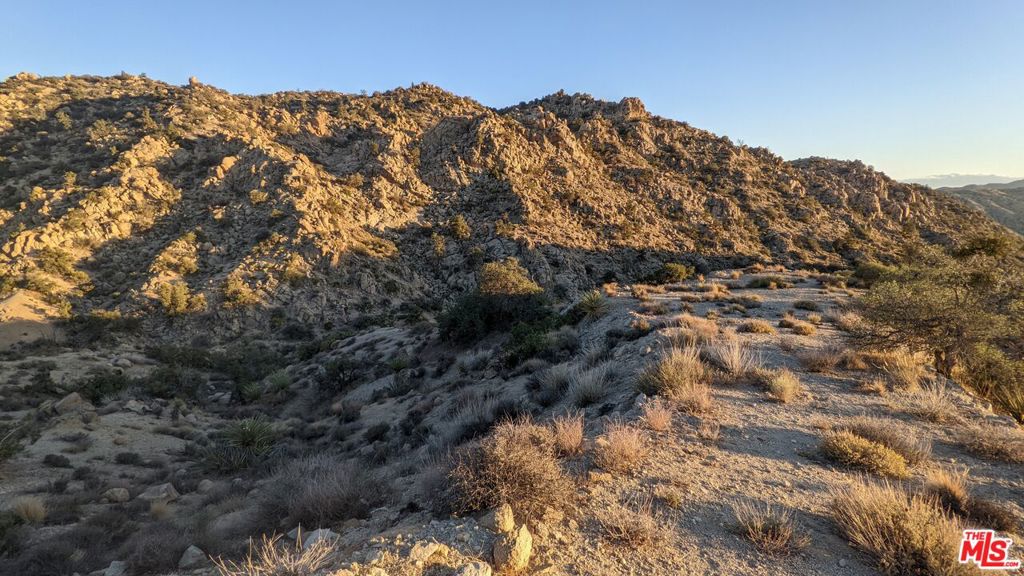 MLS #23305221 image #7