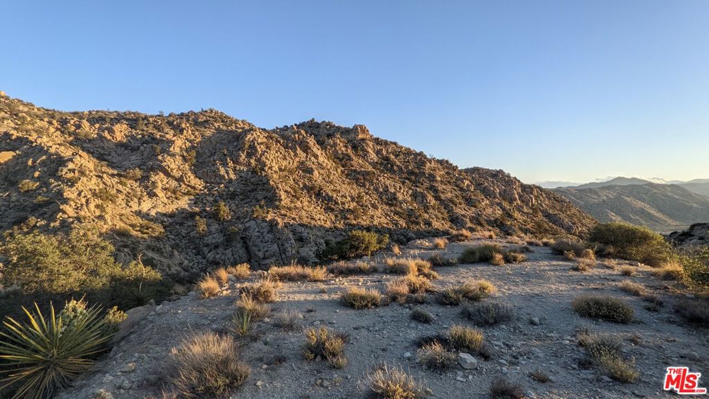 MLS #23305221 image #8