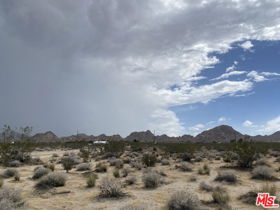 MLS #23332031 image #11