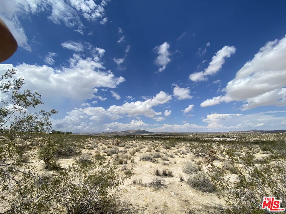 MLS #23332031 image #21