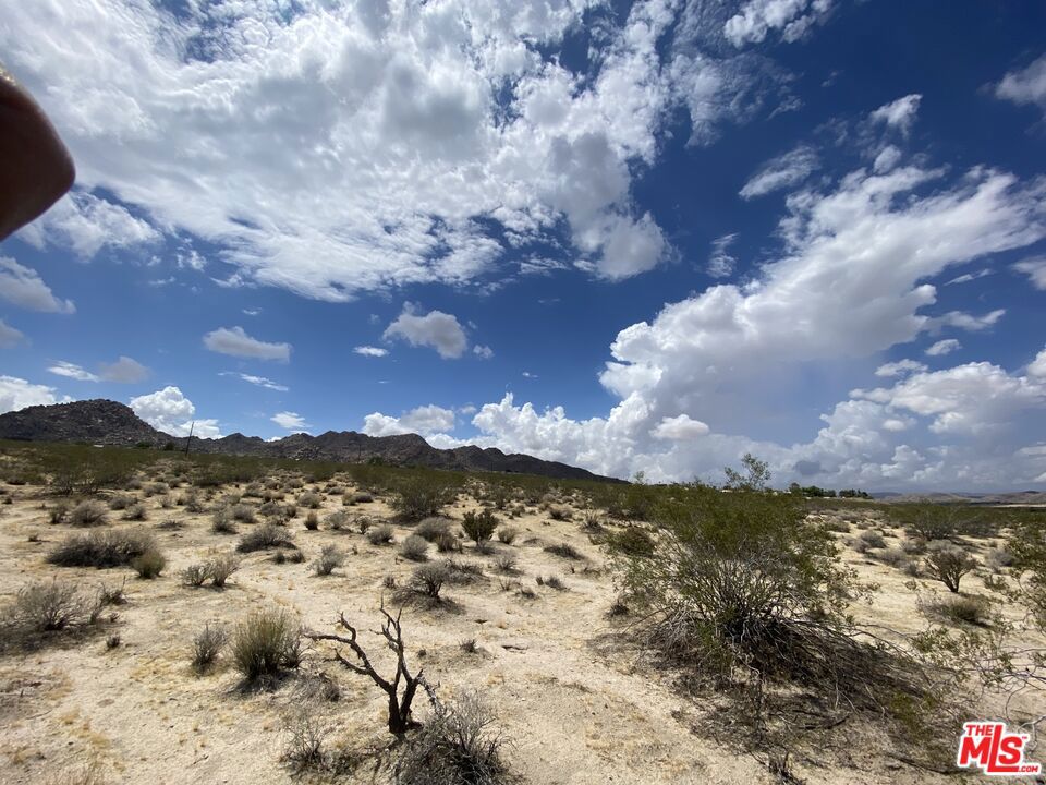 MLS #23332031 image #23