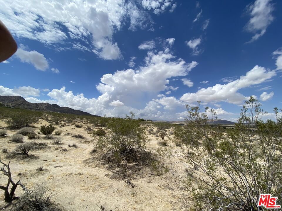 MLS #23332031 image #24