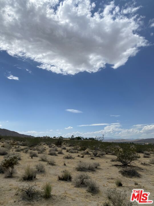 MLS #23332031 image #29