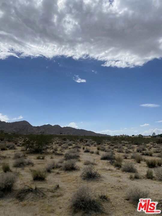 MLS #23332031 image #6