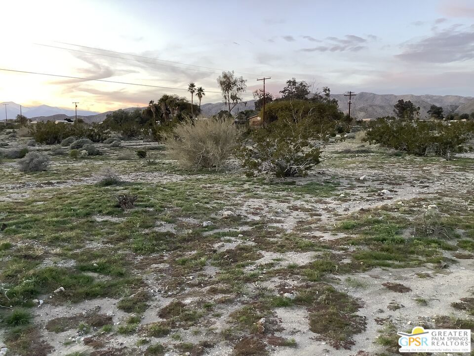 MLS #24359261 image #10