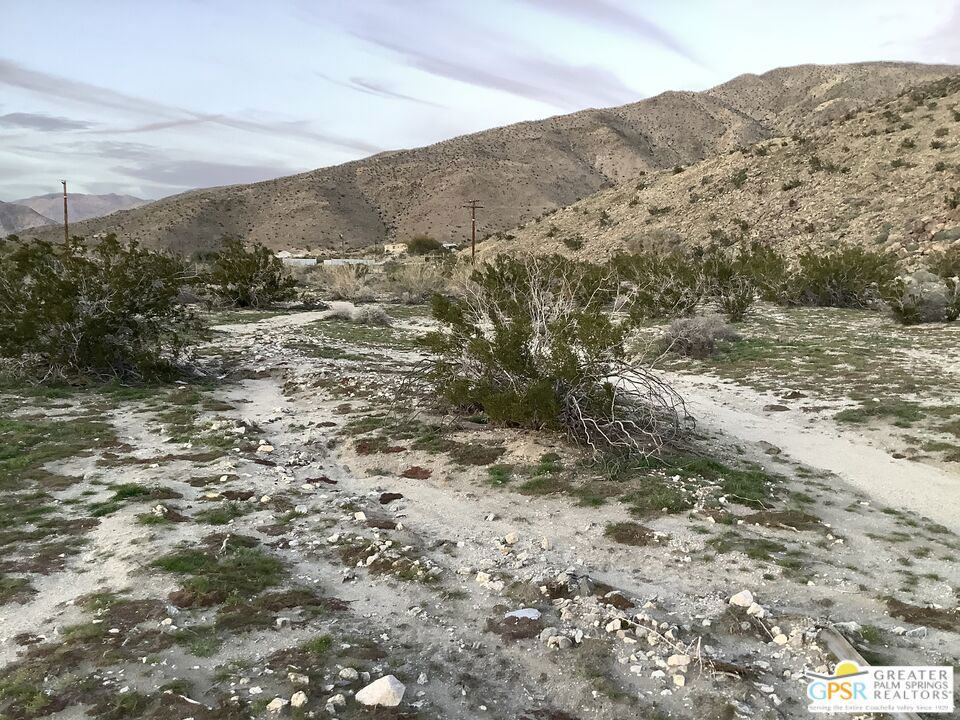 MLS #24359261 image #5