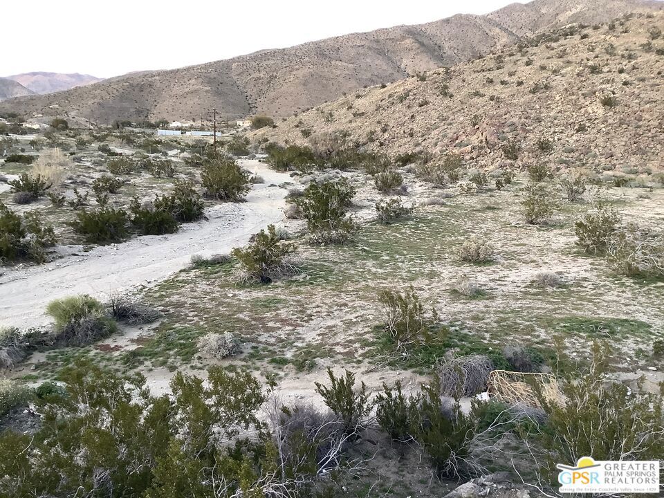 MLS #24359261 image #9