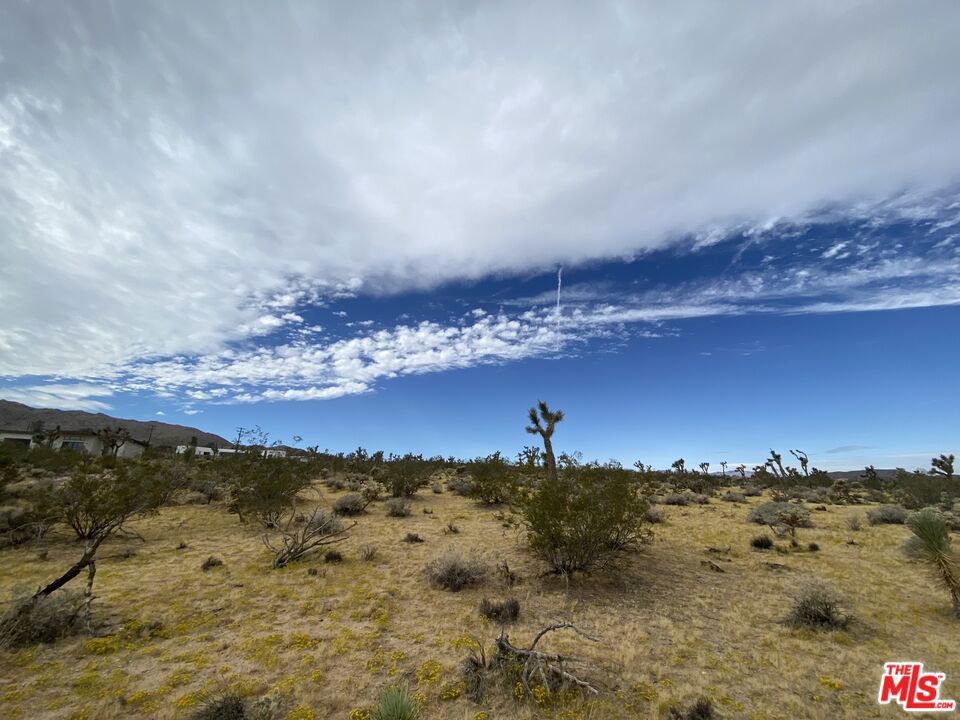 MLS #24370359 image #10