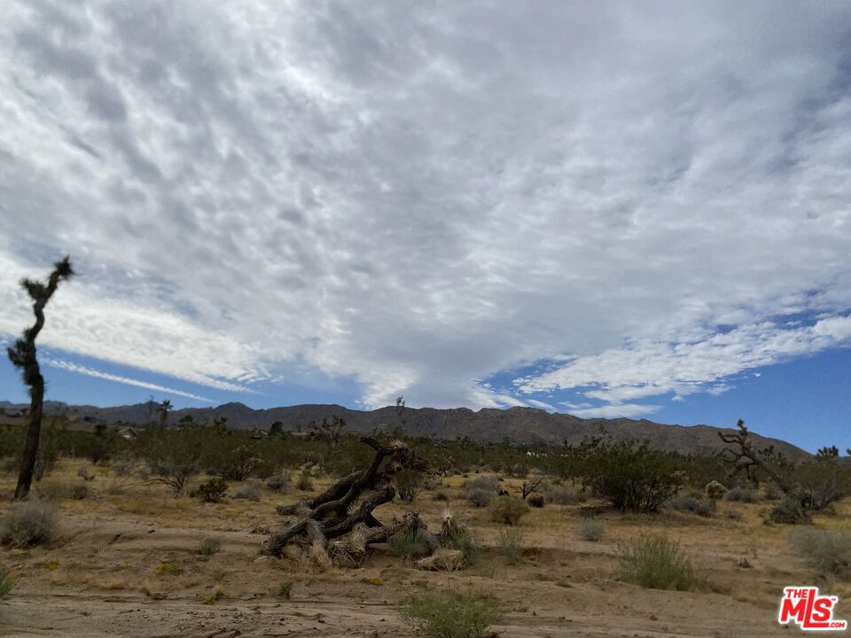 MLS #24370359 image #12