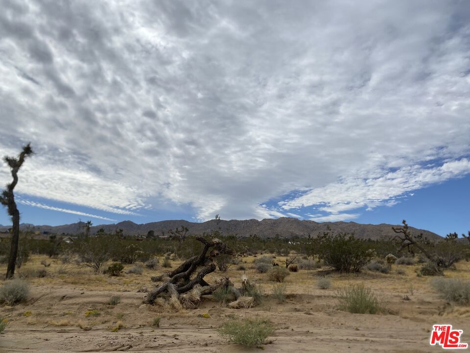 MLS #24370359 image #13