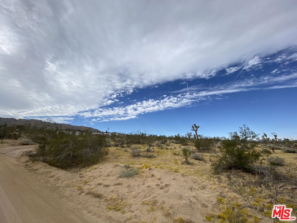 MLS #24370359 image #4