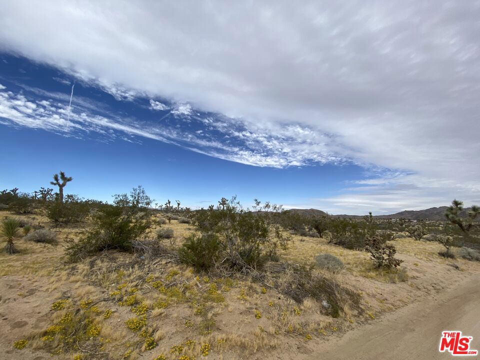 MLS #24370359 image #5