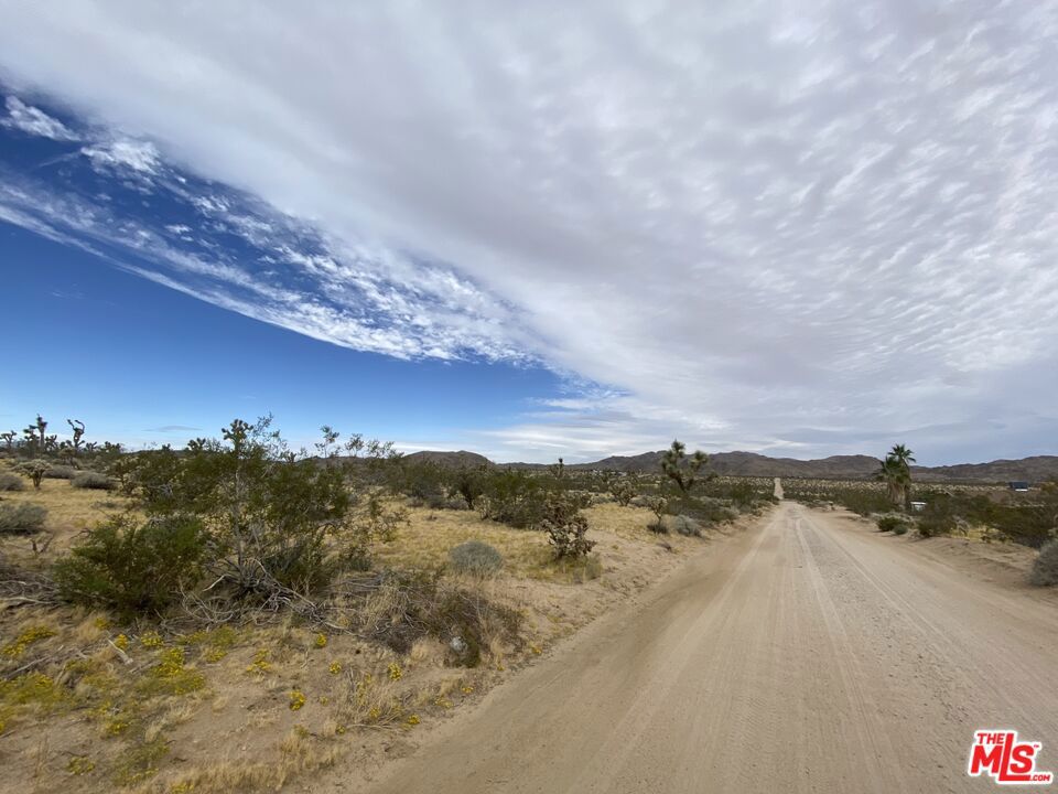 MLS #24370359 image #6