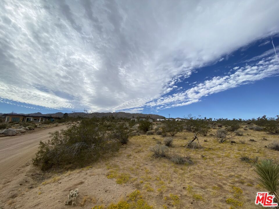 MLS #24370359 image #7