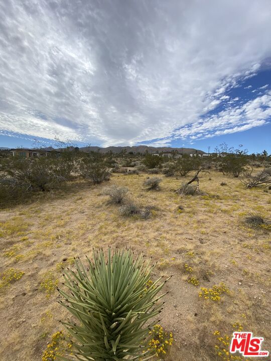 MLS #24370359 image #9