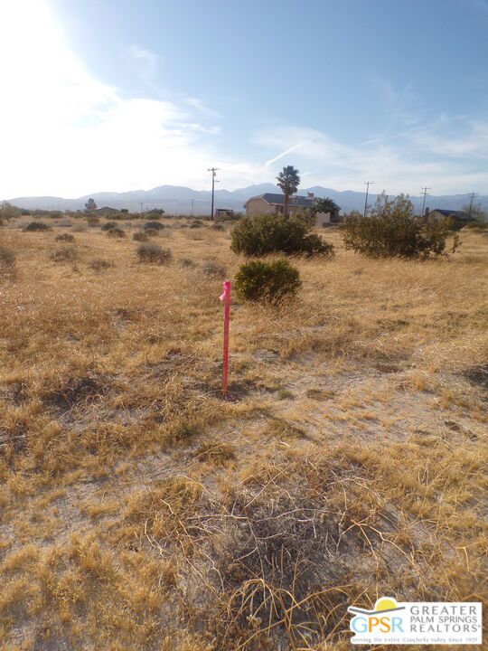 MLS #24382051 image #4