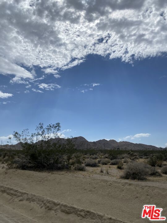 MLS #24384717 image #13