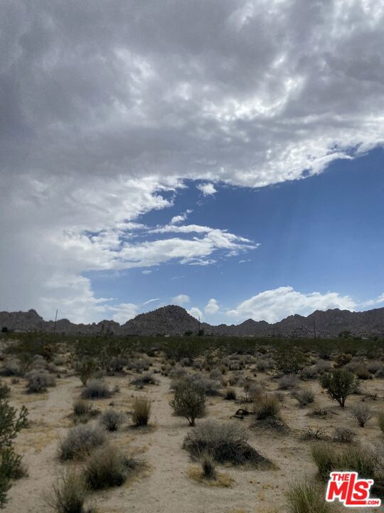 MLS #24384717 image #4