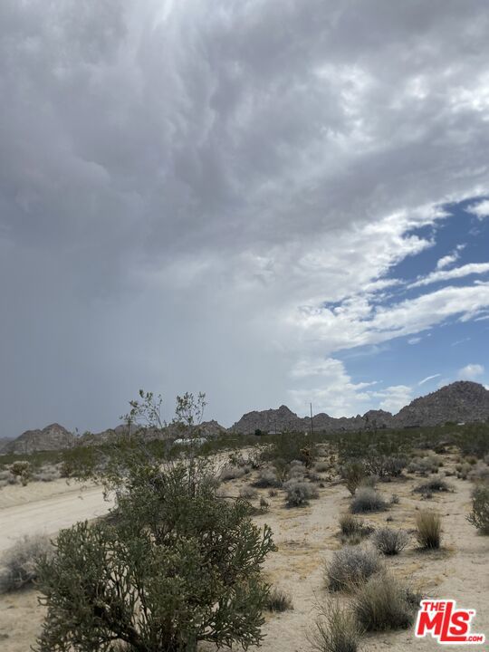 MLS #24384717 image #5