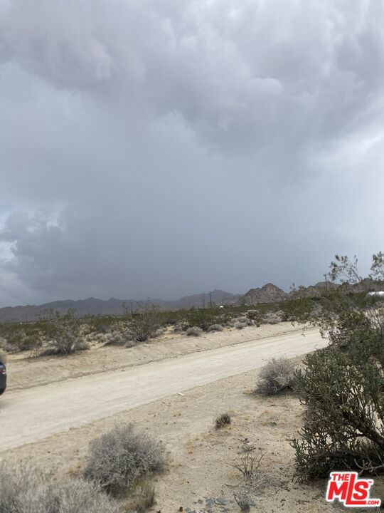 MLS #24384717 image #6