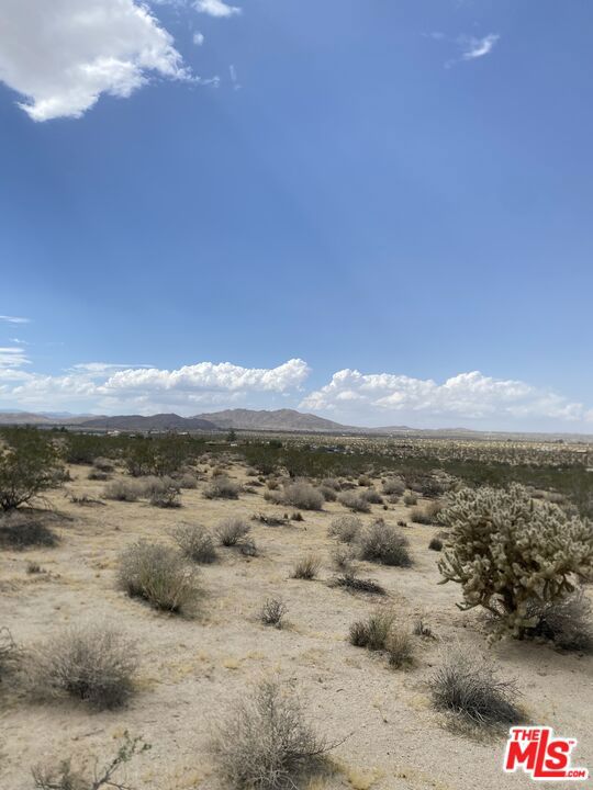 MLS #24384717 image #7