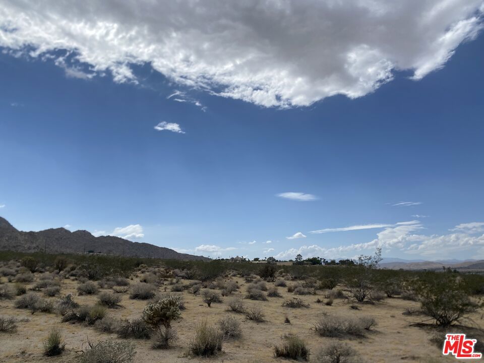 MLS #24384717 image #8