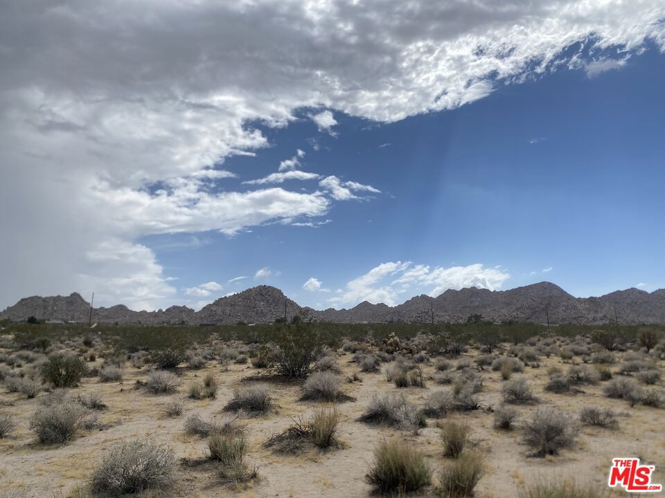 MLS #24384717 image #9