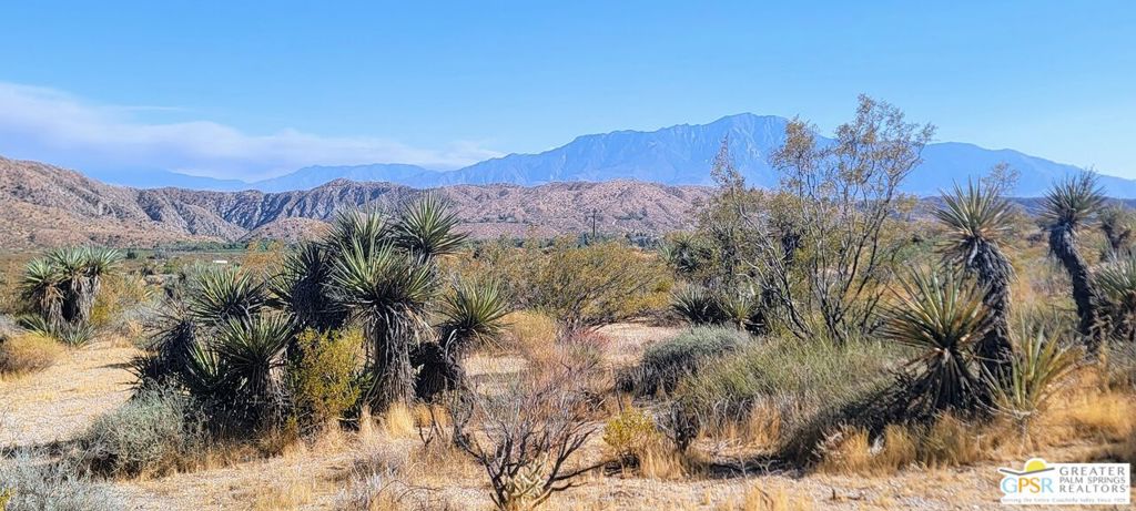 MLS #24419963 image #5