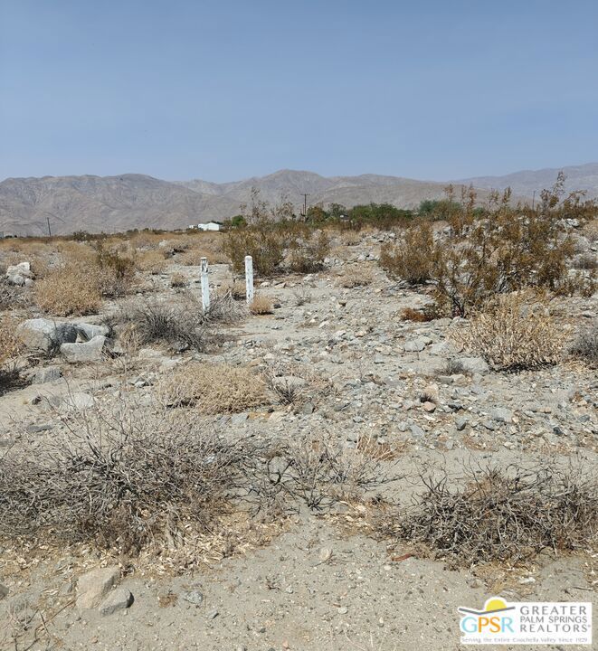 MLS #24439145 image #5