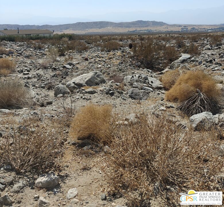 MLS #24439145 image #6