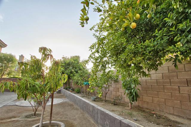 MLS #250035111SD image #39