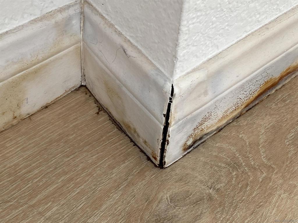 MLS #250036623SD image #5