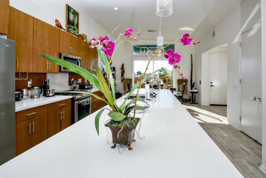 MLS #250040251SD image #9