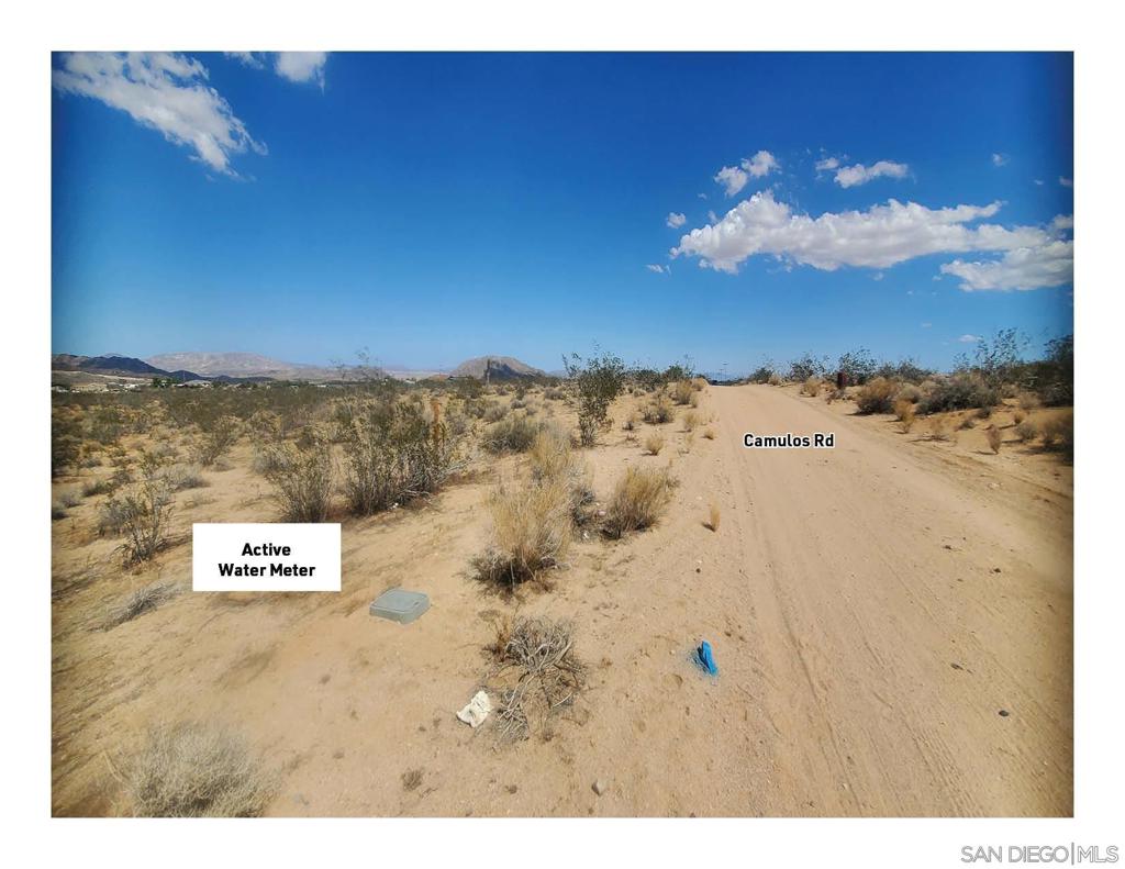 MLS #250041003SD image #8